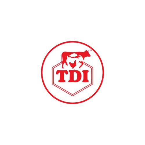 logo tdi